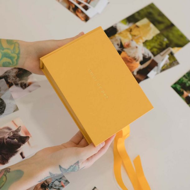 caixa para fotos p personalizável - coleção amor de pet - mim papelaria
