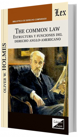 The Common Law, The Common Law Estructura, 9789563927481