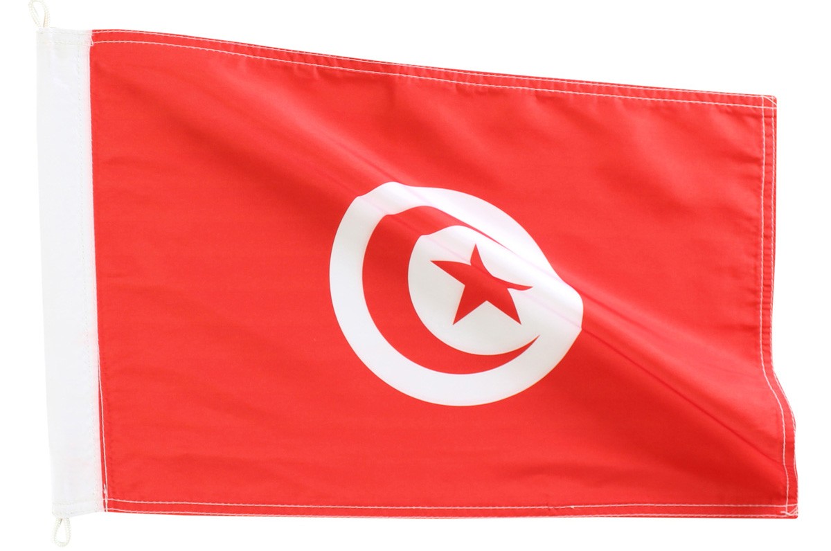 Bandeira Tunísia AZ FLAG - 1,8x1,52m Poliéster | Ilhós Metal | Uso Interno