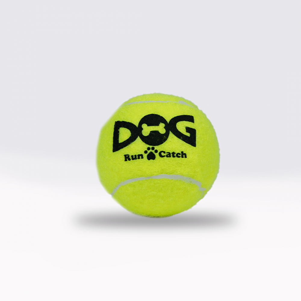 Pet Green Dog Ball Jolly Pets Soccer Ball Green Inch Apple Scented