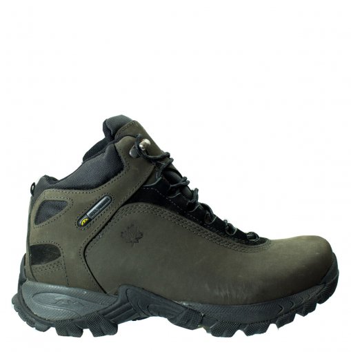 coturno masculino bull terrier