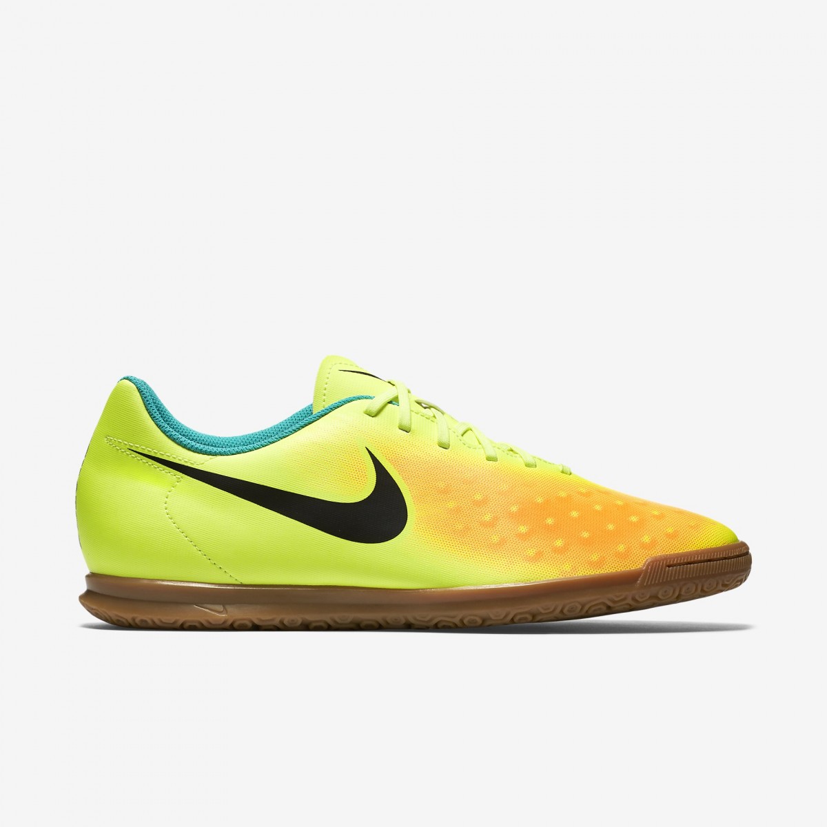 magista ola