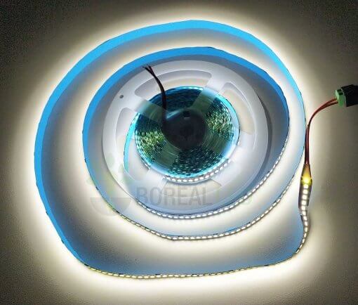 Fita LED 2835 240 LEDS/m Branco Frio 6500K 5 Metros IP20 12V