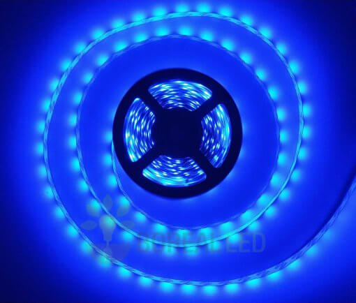 Fita LED 2835 Azul 5 Metros 300 Leds 12V IP20 S/ Silicone