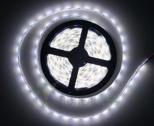 Fita LED 2835 Branco Frio 300 Leds 5 Metros 12V IP65 Dupla Face