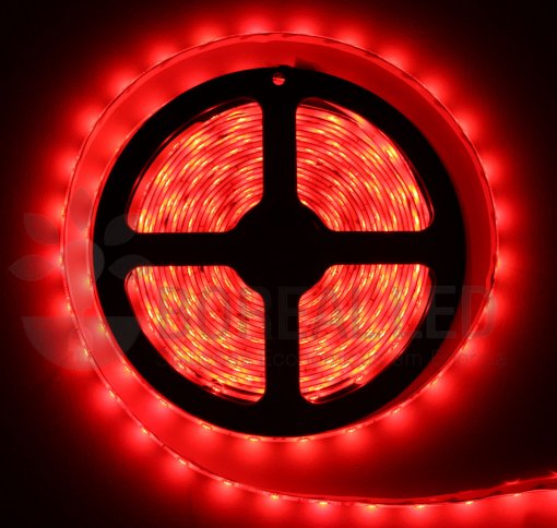 Fita LED 3528 Vermelho 300 Leds 5 Metros 12V IP65 Dupla Face