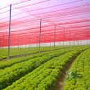 Tela De Sombreamento Vermelho 35% 4x8m 4