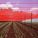 Tela Sombrite Horta Vermelho Rfia 4x12m 2