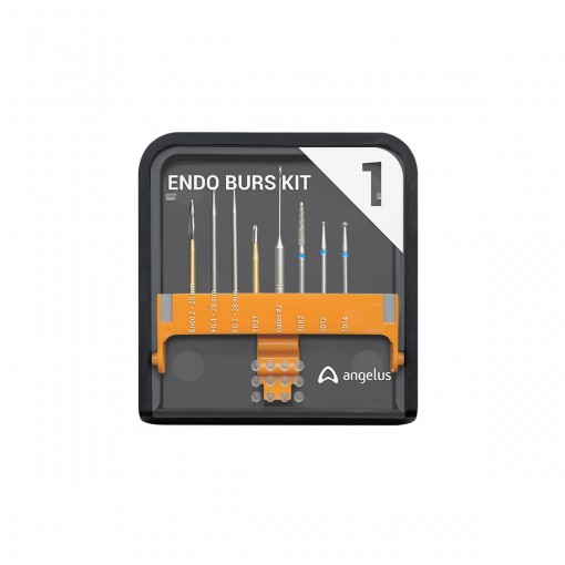 KIT BROCAS ENDO BURS ANGELUS (KIT)