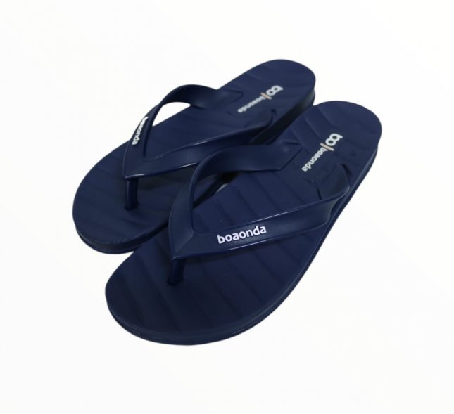 Chinelo Boa Onda 2223 100 Livi