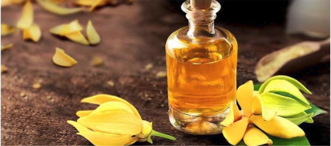 Conheça o óleo essencial de Ylang Ylang