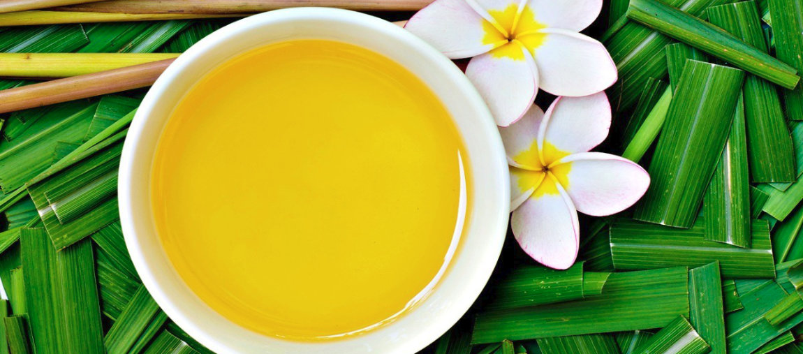 Conheça o óleo essencial de Citronela