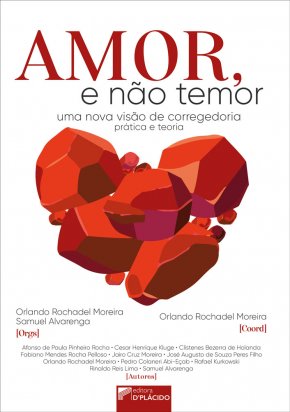 Amor, e não temor: uma nova visão de corregedoria: prática e teoria