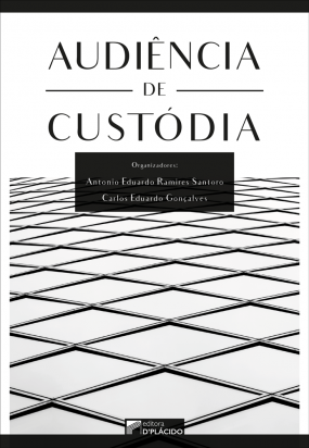 Audiência de custódia