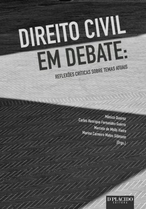 Direito Civil em debate: reflexões críticas sobre temas atuais