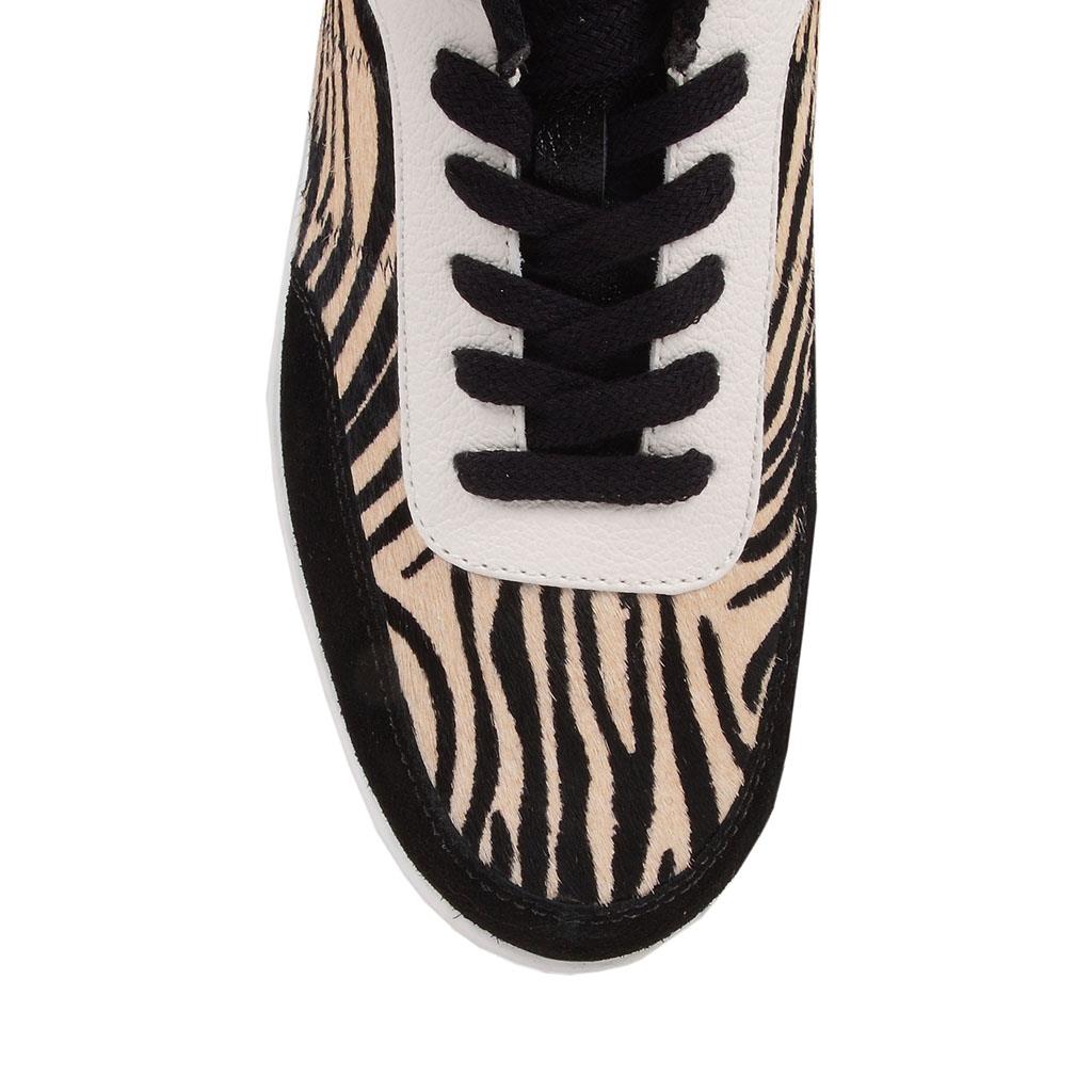 tenis de zebra