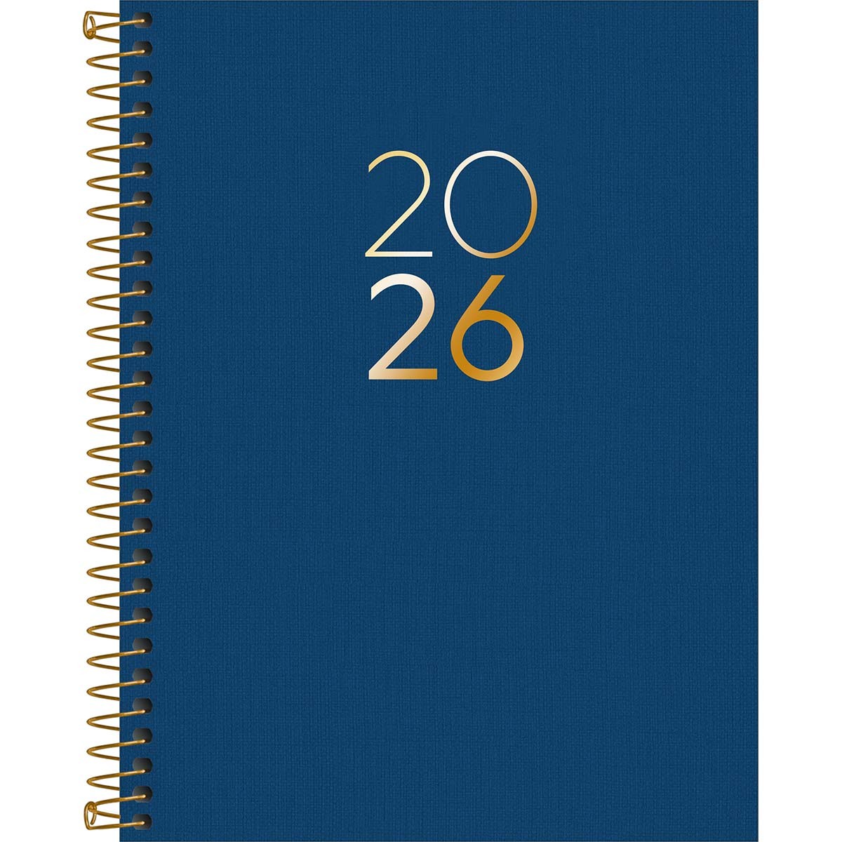Agenda Executiva Espiral Diária 17,7 x 24 cm Lume 2026 - Azul - Sortido