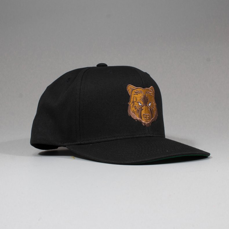 BONÉ GRIZZLY PARK VISITOR SNAPBACK