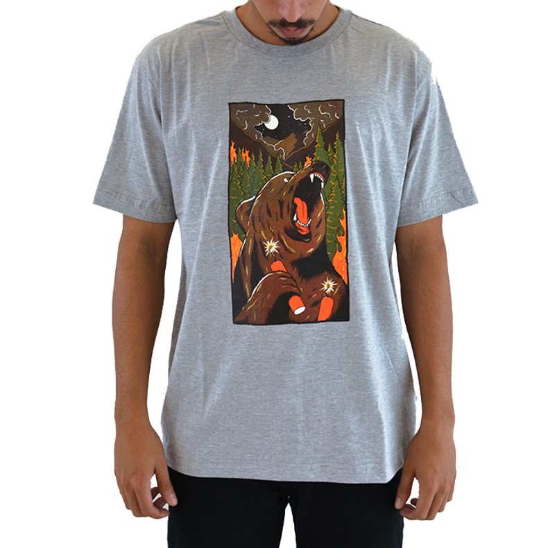 CAMISETA BIRDHOUSE FIRESTARTER