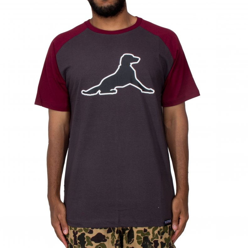 CAMISETA RAGLAN MATRIZ DOG