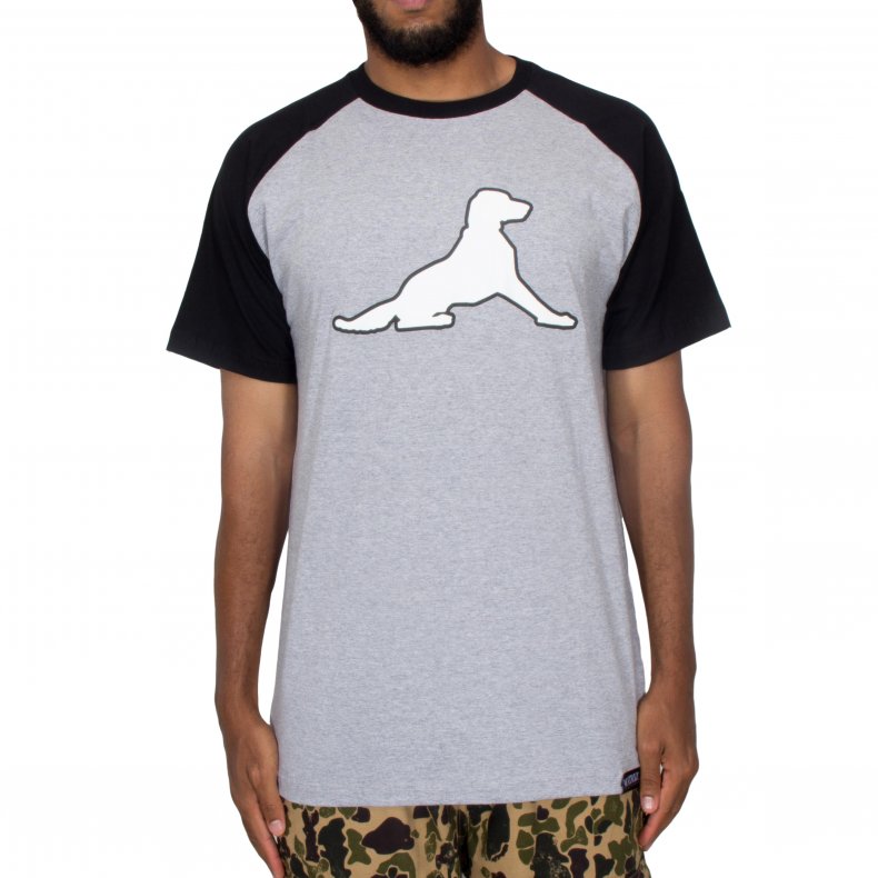 CAMISETA RAGLAN MATRIZ DOG