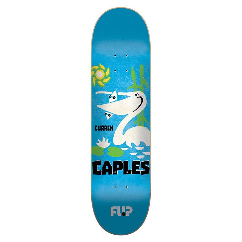 SHAPE FLIP CAPLES VINTAGE 8.0