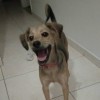 Ynara Barbara de Fazzio Capinan
