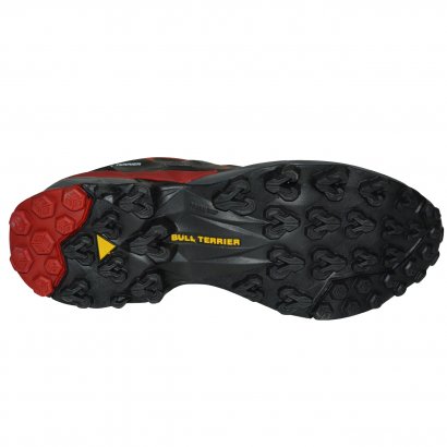 tenis bull terrier advance