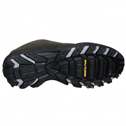 tênis bull terrier fox terrier low