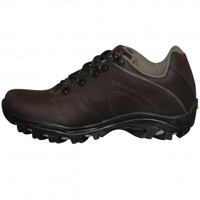 tênis bull terrier fox terrier low