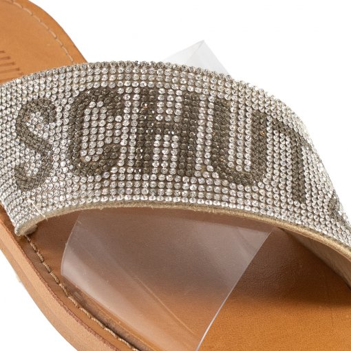 ｒｈ９０５ Sandália Rasteira de X Logo Schutz Cinza