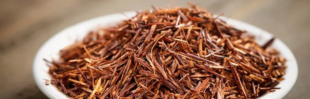 Diretamente da frica do Sul: a origem do Rooibos