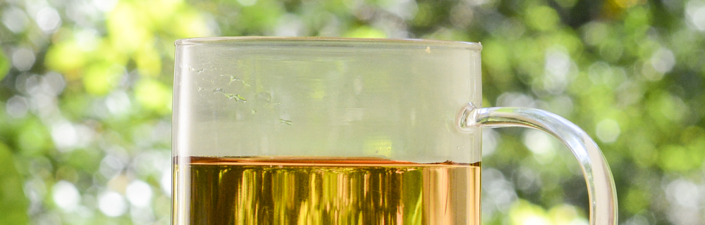 Para cada momento, uma infusão: vem conhecer as infusões que são sucesso na Tea Shop