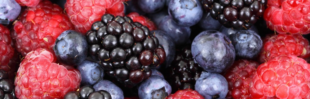 Um amor chamado Frutas Vermelhas