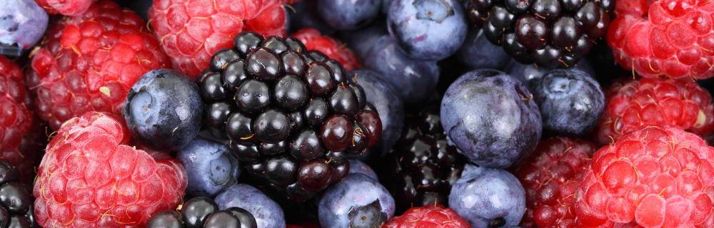 Imagem - Um amor chamado Frutas Vermelhas 