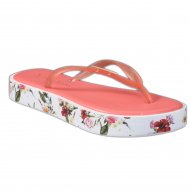 chinelo giulia domna preco